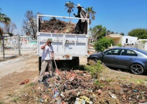 04 Continúa la limpieza y mantenimiento de panteones de Los Cabos 1
