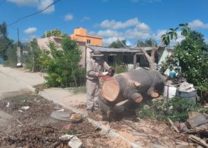 02 Avanza Servicios públicos de Los Cabos con el plan emergente de limpieza_ a la fecha se han retirado más de 5 mil toneladas de ramas y escombros 6