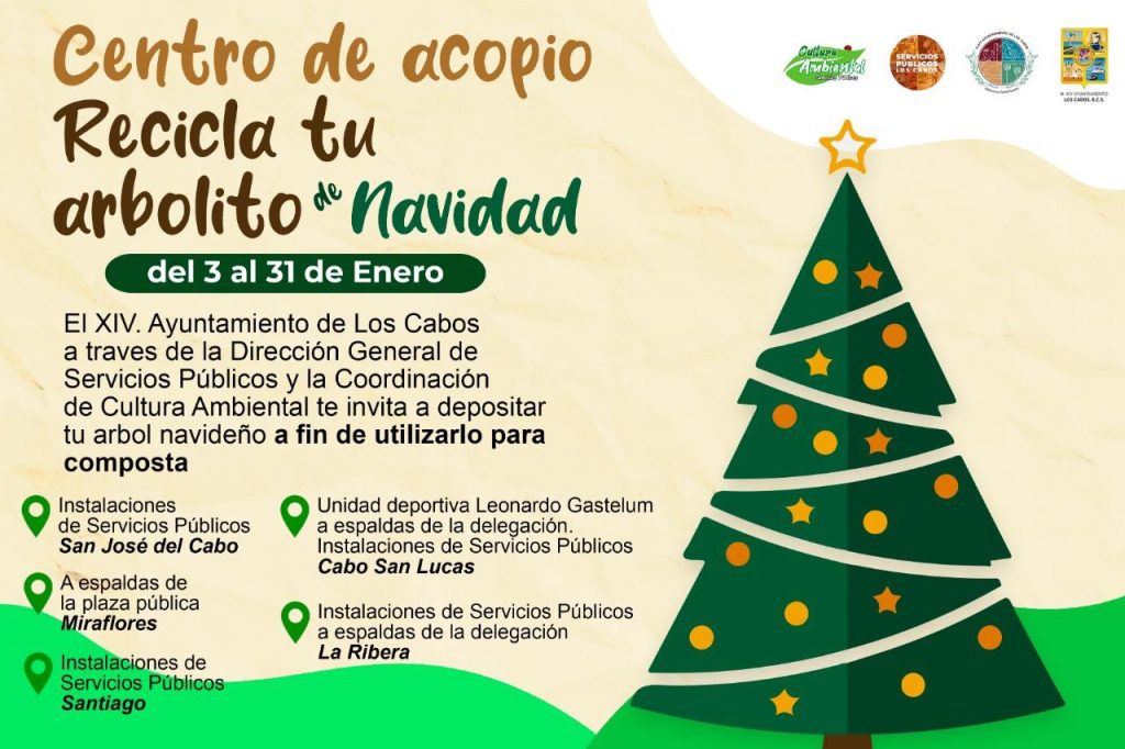 Evitemos contaminar con el árbol de navidad; hay 5 centros de acopio en Los  Cabos | H. XIV Ayuntamiento de Los Cabos