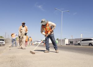 Foto Embellecimiento camellones 1