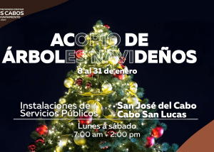 FOTO 2 Servicios Públicos inicia acopio de árboles navideños