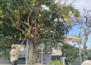 FOTO 1 ATENCIÓN PETICIONES CIUDADANAS