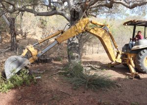 FOTO 1 REHABILITACIÓN ESCUELA CSL