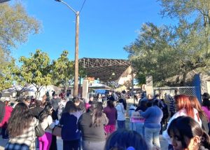 FOTO 3 ESTERILIZACIÓN SANTA ANITA