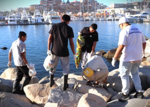 FOTO 6 ZOFEMAT LIMPIEZA EL MÉDANO