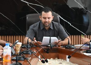 foto 2 INDEM COMITÉ PROFESIONALIZACIÓN