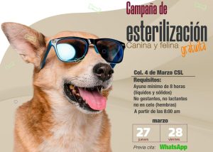 FOTO 1 CAMPAÑA ESTERILIZACIÓN CSL