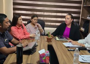 FOTO 3 COLONIA MONTE REAL ALUMBRADO