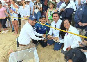 FOTO 3 LIBERACIÓN TORTUGAS CSL