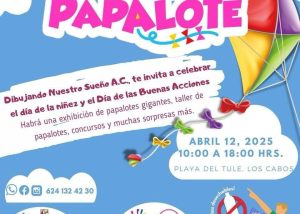 FOTO 1 DIBUFESTIVAL DEL PAPALOTE