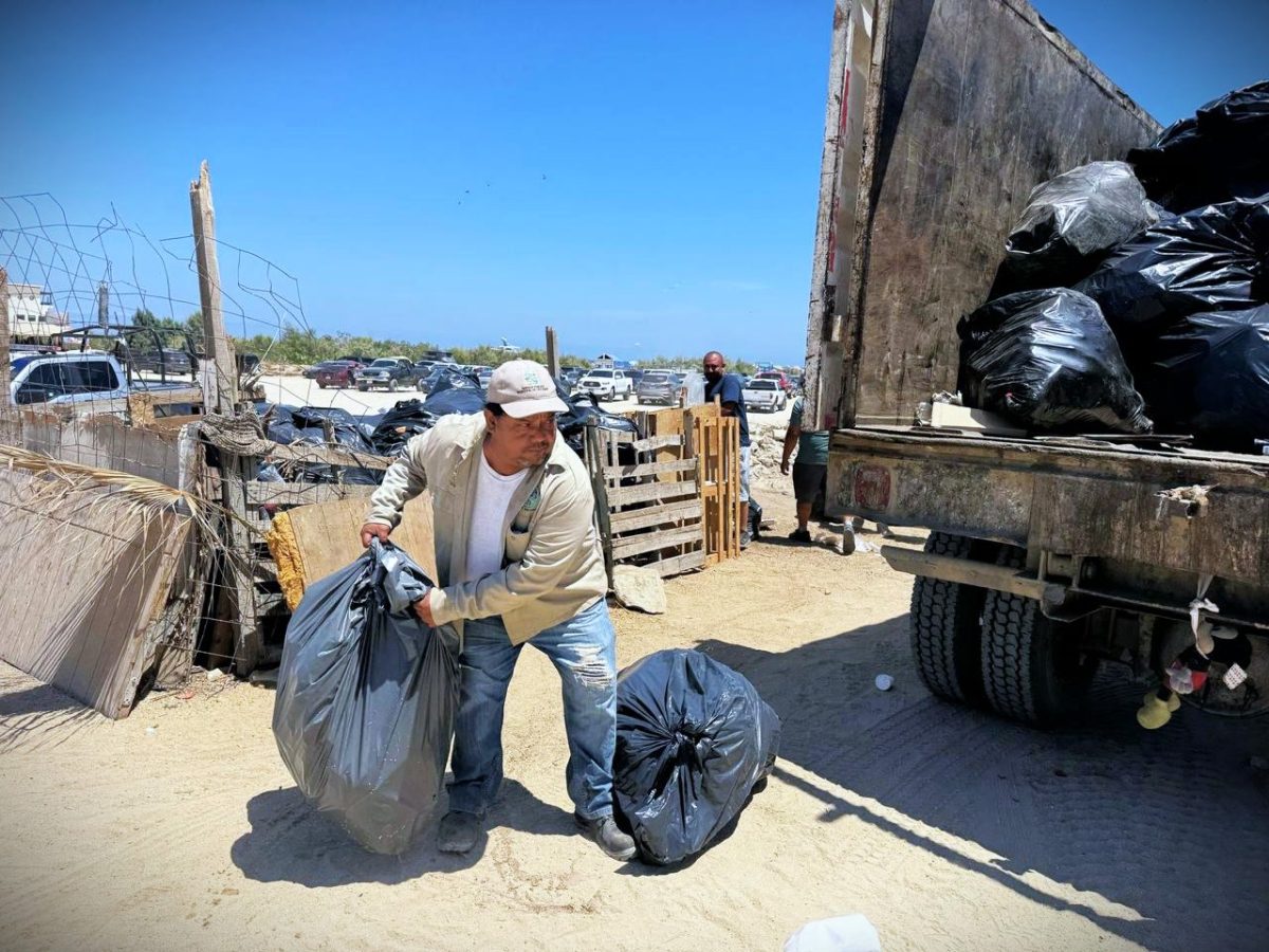 Se recolectaron más de 600 toneladas de basura en playas y colonias de ...