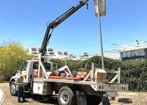 WhatsApp Image 2025-04-09 at 10.29.32 (20)