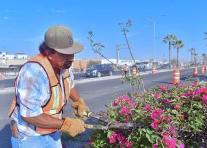JORNADA LIMPIEZA CAMELLONES CSL 5