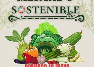 MERCADO SOSTENIBLE SJC