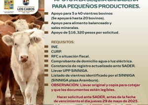 PROGRAMA APOYO SECTOR GANADERO