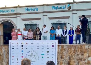 VUELVEN DOMINGOS VIVA LA PLAZA 4