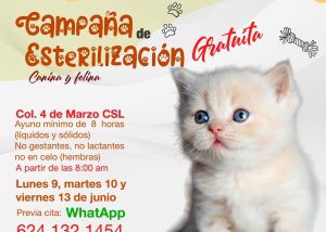 CAMPAÑA ESTERILIZACIÓN CSL