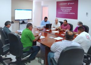 ECOLOGÍA 5° SESIÓN USO DE SUELO 2