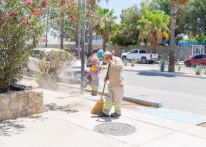 SERVICIOS PÚBLICOS MANTENIMIENTO ÁREAS VERDES 1