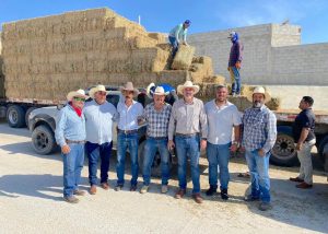 SUBSIDIO SECTOR GANADERO LOS CABOS 1