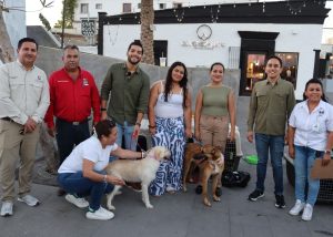 WhatsApp Image 2025-06-17 at 9.25.11 PM