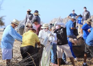 ZOFEMAT JORNADA LIMPIEZA PLAYAS 6