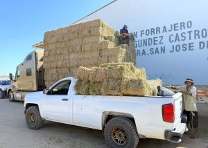 _DESARROLLO RURAL SUBSIDIO FLETE FORRAJE 3