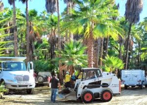 JORNADA OASIS SANTIAGO 1