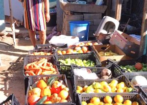 DELEGACIÓN CSL ENTREGA APOYO ALIMENTICIO 1