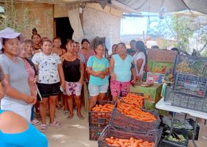 DONACIÓN COLONIA CARIBE BAJO CSL 1