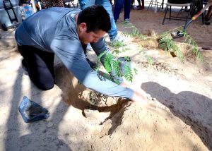 INJUVE JORNADA REFORESTACIÓN 2