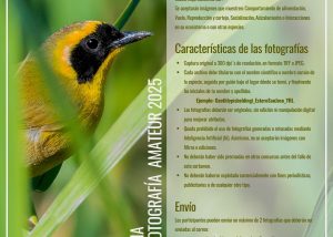 CONCURSO FOTOGRAFÍA FESTIVAL AVES 2025
