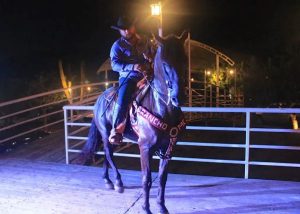 ICA CONMEMORACIÓN ANIVERSARIO CABALGATAS 4