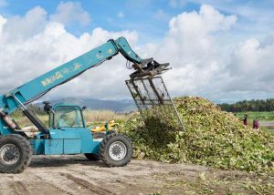 JORNADA LIMPIEZA ESTERO SJC 1