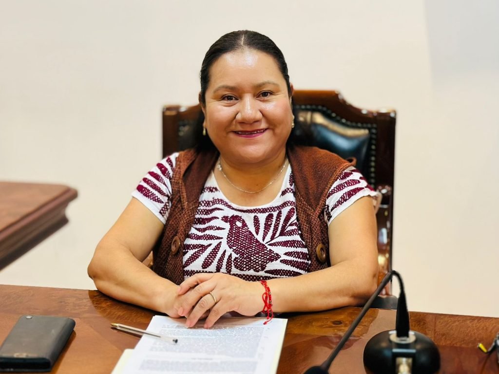 ACCIONES COMUNIDADES INDÍGENAS AFROMEXICANAS