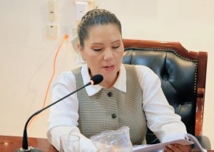 CABILDO ESTRATEGIA INTEGRAL DENGUE