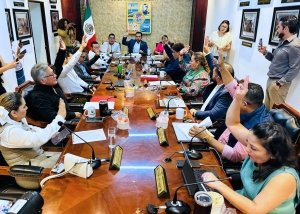 CABILDO MESA ANÁLISIS PLAZAS BOMBEROS 1