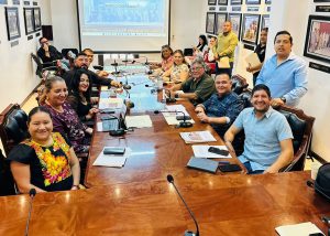 COMPARECENCIA DIRECCIÓN PARTICIPACIÓN CIUDADANA 2