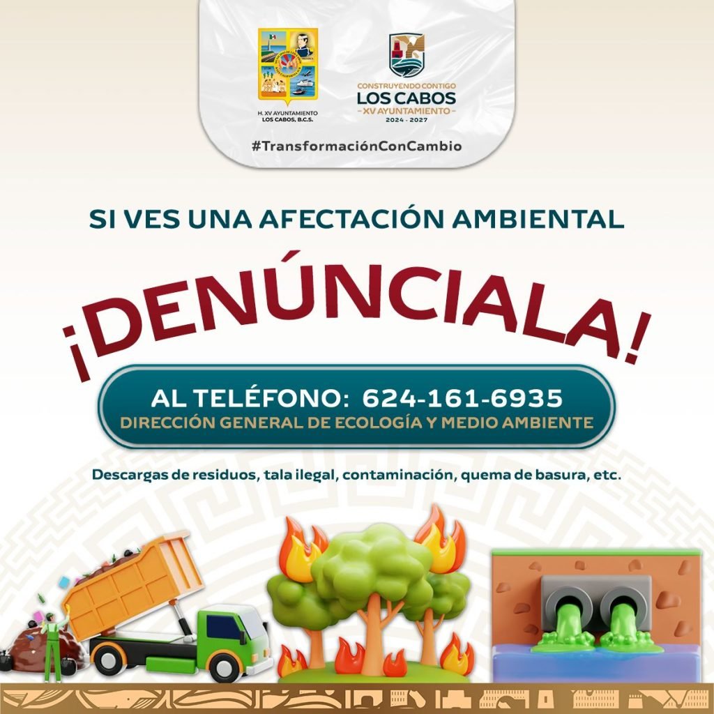 ECOLOGÍA LÍNEA TELEFÓNICA REPORTES AMBIENTALES