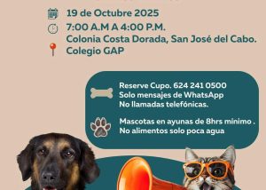 ESTERILIZACIÓN MASCOTAS COLONIA COSTA DORADA SJC