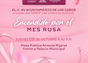 INVITAN ENCENDIDO LUCES MES ROSA