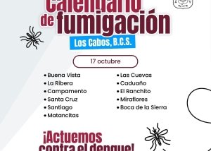 JORNADA FUMIGACIÓN ZONA NORTE LOS CABOS