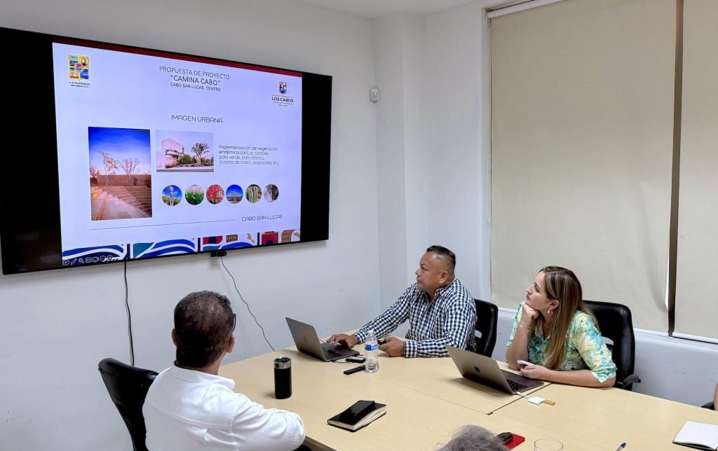 PRESENTACIÓN PROYECTOS EMBELLECIMIENTO URBANO 1