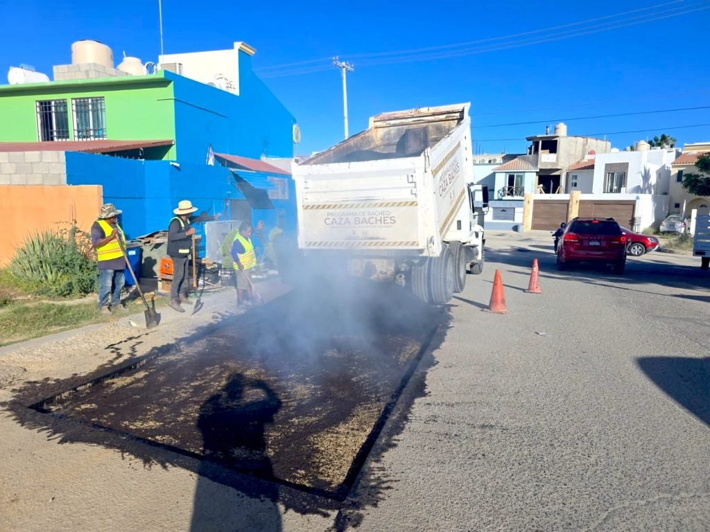 PROGRAMA CAZA BACHES DIURNO Y NOCTURNO 1