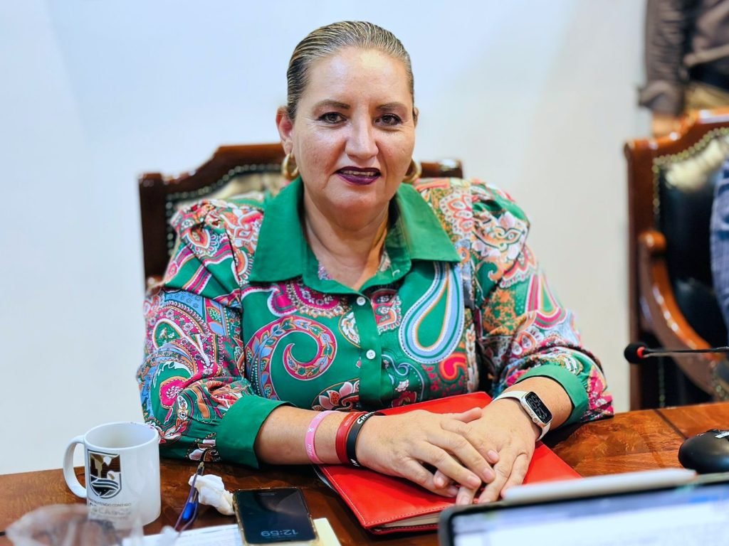 PROGRAMA EMERGENTE REHABILITACIÓN CALLES CAMINOS