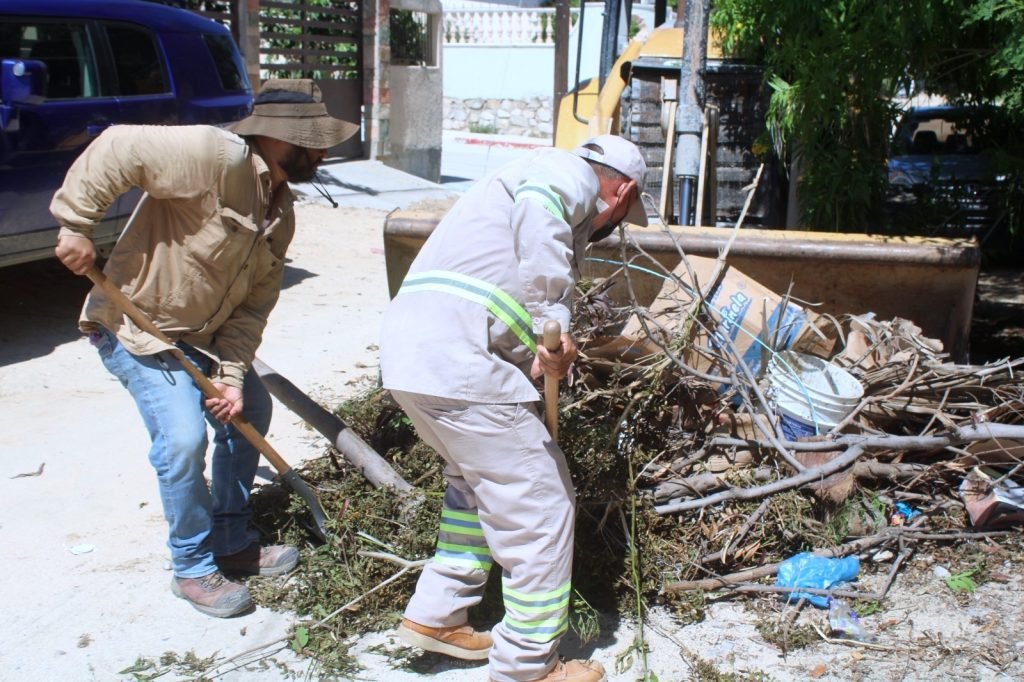 WhatsApp Image 2025-10-29 at 3.46.13 p.m.