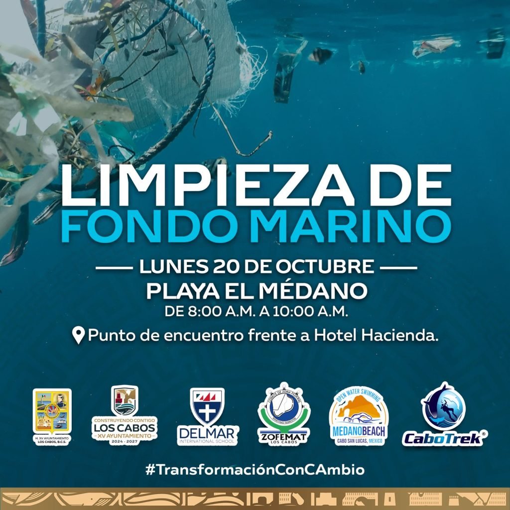 ZOFEMAT LIMPIEZA MAR DE FONDO EL MÉDANO 1 (1)