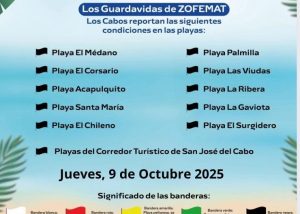 ZOFEMAT PLAYAS BANDERA NEGRA