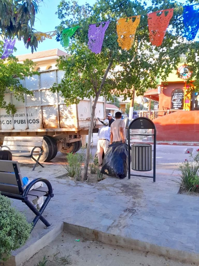 LIMPIEZA MANTENIMIENTO PLAZA AMELIA WILKES CSL 4