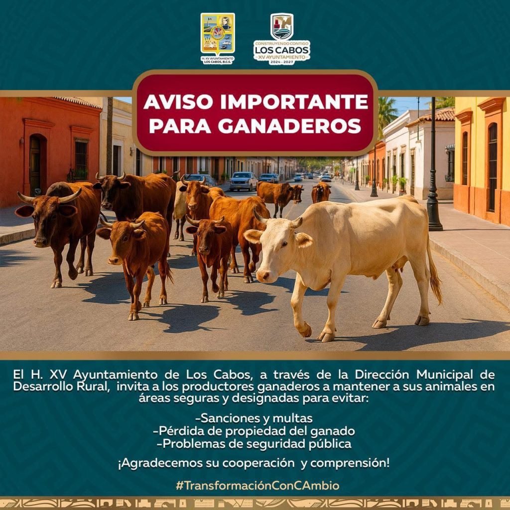 LLAMADO PRODUCTORES GANADEROS ZONA URBANA